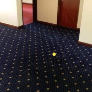 Wall to wall carpeting plus installation per square meter