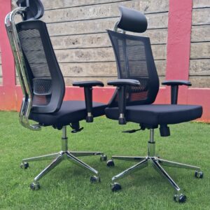 Executive orthopedic office chair